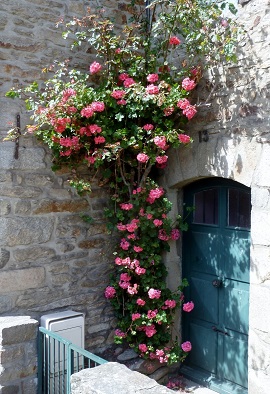 Auvergne